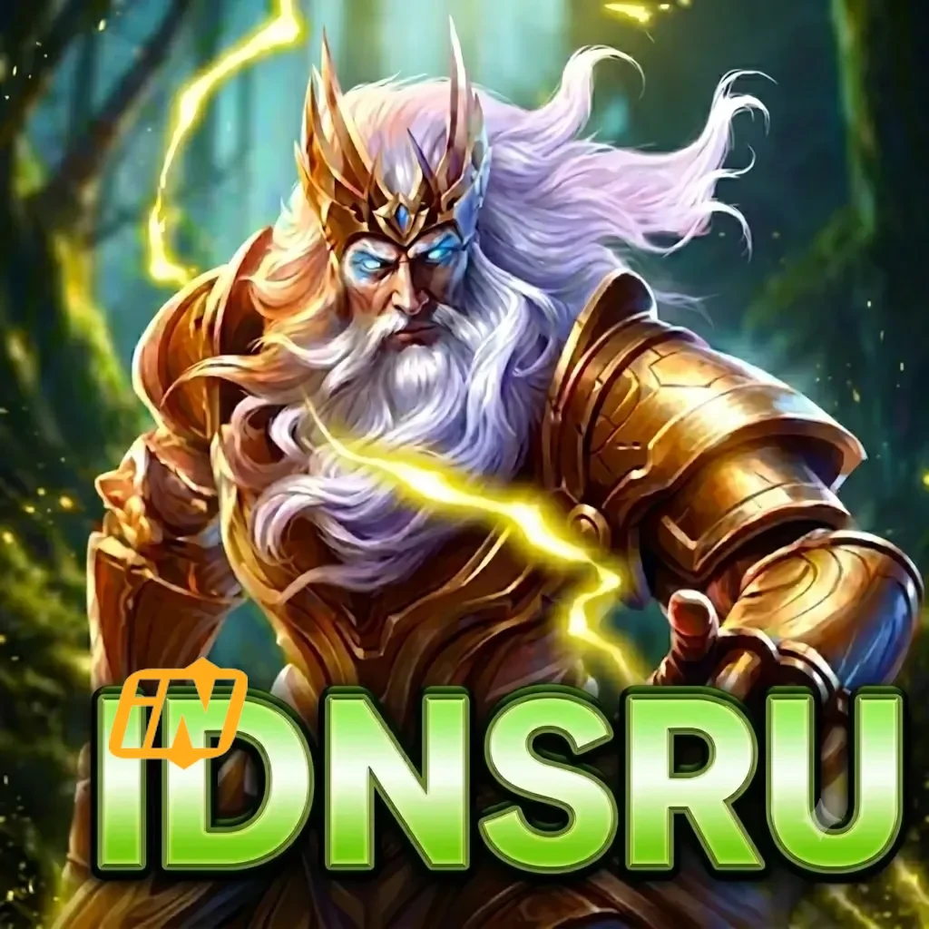 Logo idnseru